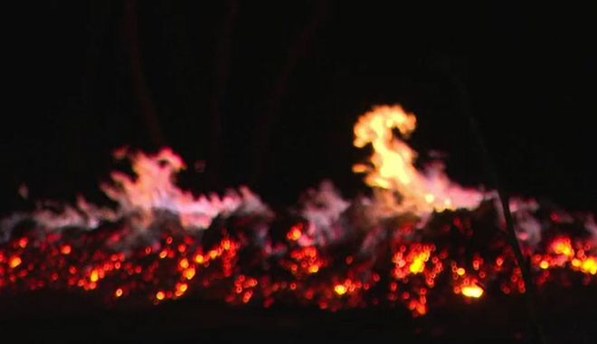 Tulcea: Aproximativ patru hectare de vegetație uscată, incendiate în satul Greci - vegetatie-1642351510.jpg