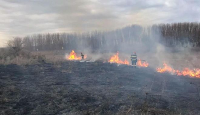 Incendiu devastator în Tulcea. 30 de hectare de pamânt au ars în întregime - vegetatie-1644256429.jpg