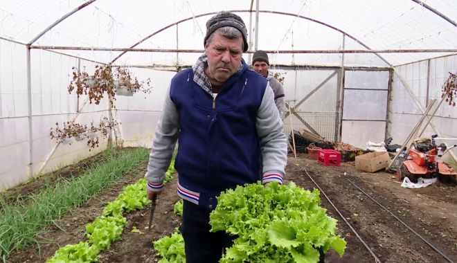Se caută legumicultori în Spaţiul Economic European - verdeturitrufandale-1659012017.png