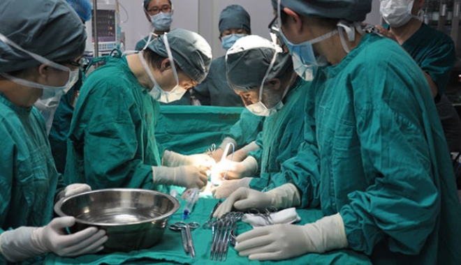 Peste 1000 de transplanturi medulare realizate la noi în țară - veseko3-1495706238.jpg