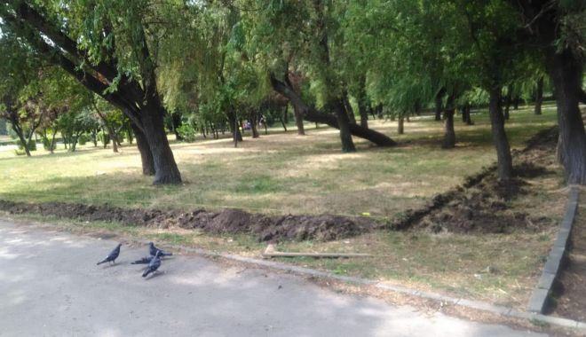 Vești bune pentru iubitorii de animale din Constanța - vestibune-1562273493.jpg