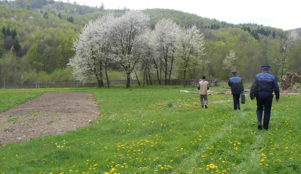 Adolescent de 15 ani găsit mort pe un câmp. Polițiștii au deschis o anchetă