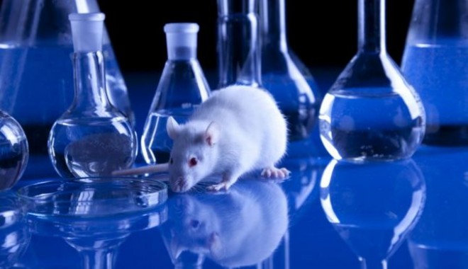 Comercializarea cosmeticelor testate pe animale, interzisă de azi în UE - video-1363022866.jpg