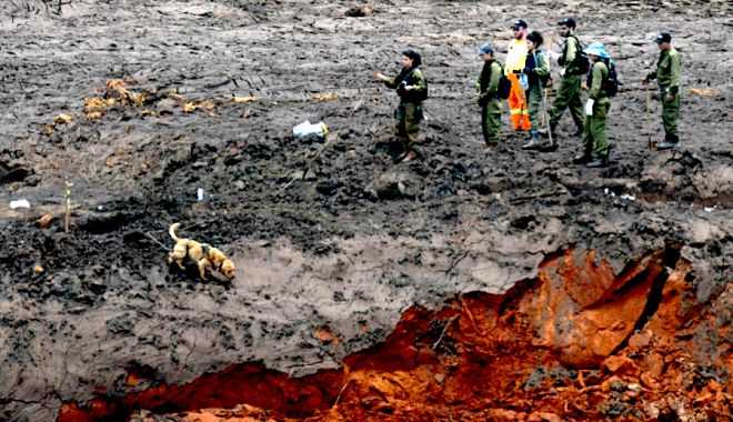 VIDEO TERIFIANT / Momentul în care barajul minier din Brumadinho cedează. Ultimul bilanț - 115 morți, 248 dispăruți - video-1549096834.jpg