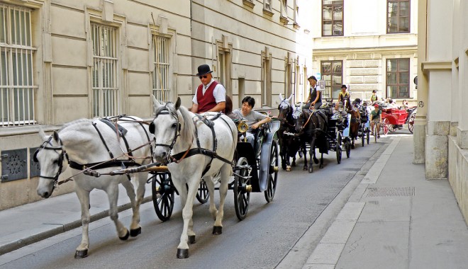 Constănțenii serbează 1 Decembrie în Bulgaria, Istanbul ori Viena - viena21-1322667756.jpg