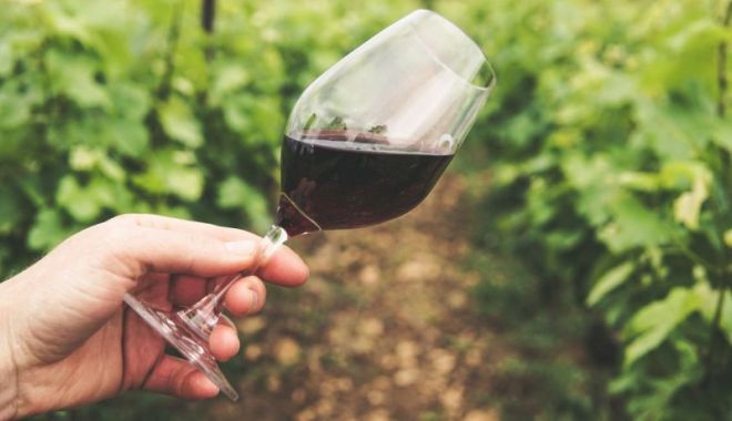 Regal culinar la Ziua Națională a Gastronomiei și a Vinului Românesc - vin-1633350677.jpg