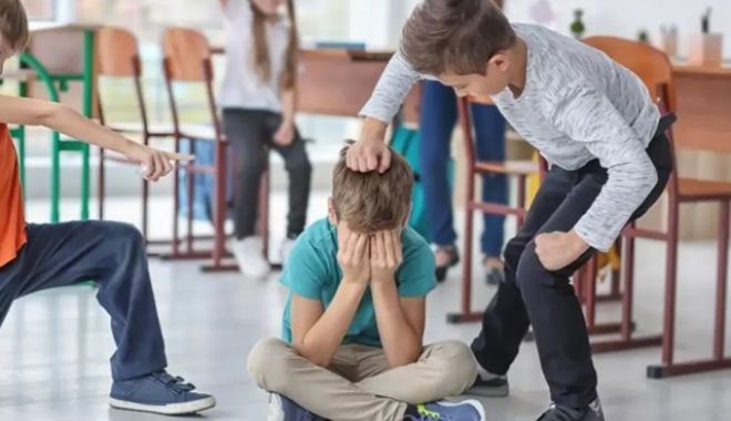 Federaţia Sindicatelor Libere din Învăţământ: “Şcolile au nevoie de o strategie de combatere a violenţei”