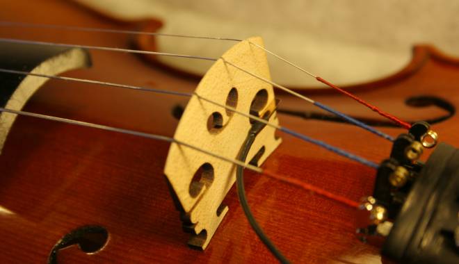 Violonistul Alexandru Tomescu susține un recital în Gara de Nord - violonist-1429775810.jpg