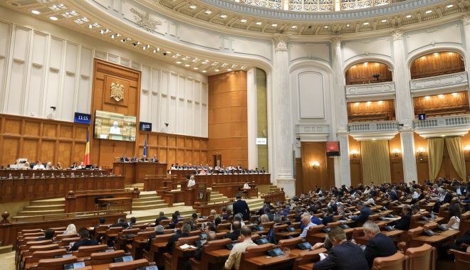 Viorica Dăncilă: 