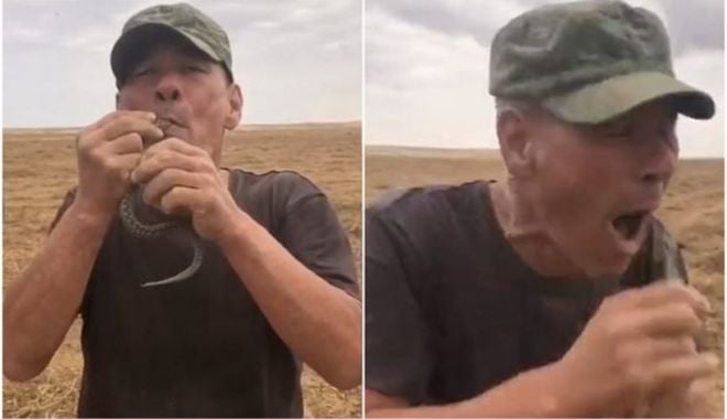 Un bărbat din Rusia a murit după ce și-a băgat o viperă în gură și aceasta l-a mușcat de limbă - vipera-1632501489.jpg