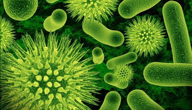 A fost descoperită cea mai ucigătoare toxină din lume - virus-1383475626.jpg