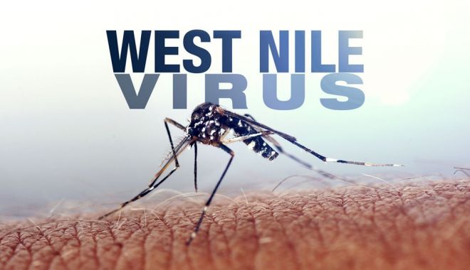 Un nou deces provocat de virusul West Nile în România. Măsurile anunțate de autorități - virus-1565712986.jpg
