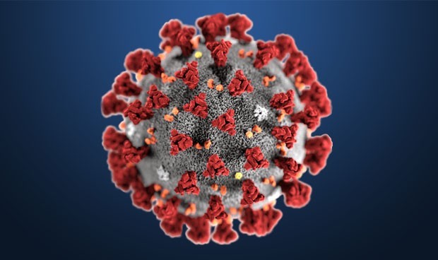 Încă 4 români morți de COVID-19. Bilanțul se ridică la 318 - virus-1586765356.jpg