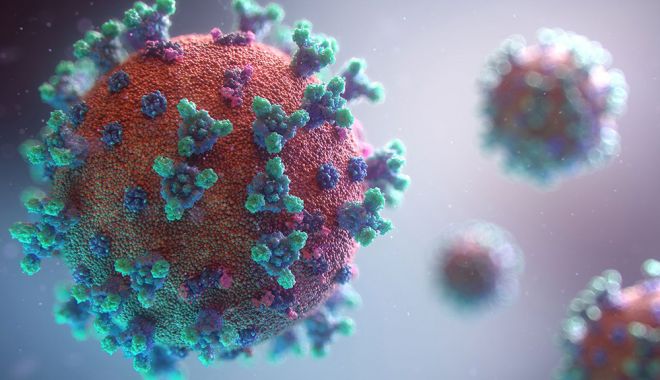 Un nou virus gripal cu 