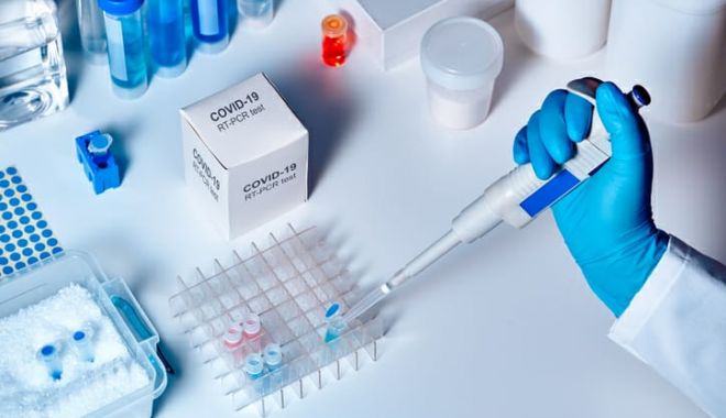 Focar imens de COVID-19 la cel mai mare combinat de prelucrare a cărnii din România - virus-1595244413.jpg