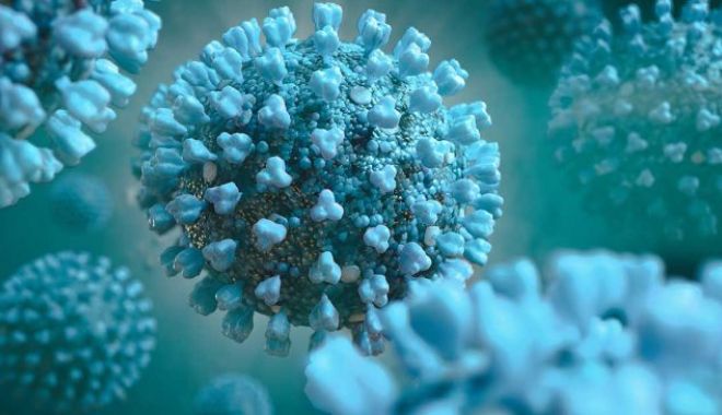Coronavirus în România: Au fost raportate 1.333 de cazuri noi. 45 sunt la Constanța - virus-1600512097.jpg