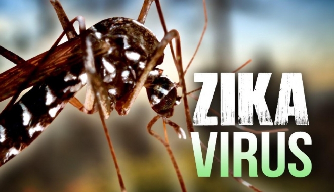 ÎNCĂ UN CAZ DE VIRUS ZIKA în România. Copil de 10 ani, infestat în Guyana Franceză - virus1-1468999294.jpg