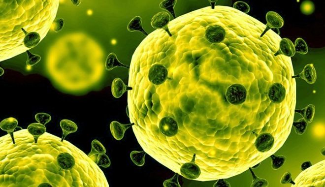 Australia a confirmat primul său caz de îmbolnăvire cu noul tip de coronavirus în statul Victoria - virus2-1579952756.jpg