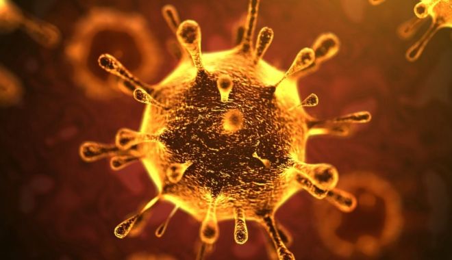 Secvența genetică a coronavirusului ucigaș a fost decodată de cercetători - virus3-1579960911.jpg