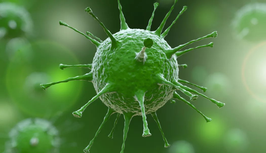 A fost confirmat primul deces provocat de gripă în acest sezon. O femeie de 88 de ani, nevaccinată