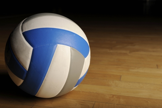 Divizia A1 volei masculin: Rezultatele înregistrate în etapa a 19-a - voleietapa19-1424955704.jpg