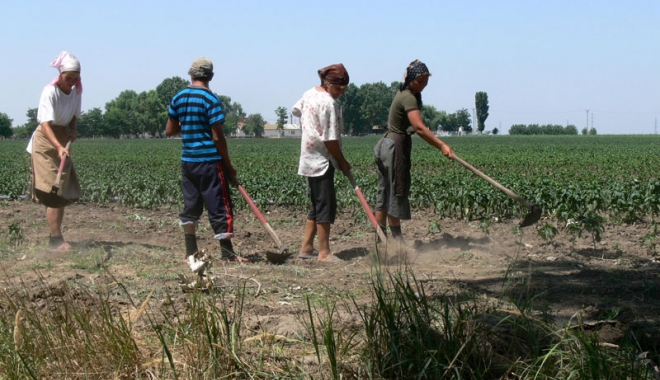 Se înființează agențiile de mediere între cererea și oferta de muncă zilieră - vomaveaagentia-1508431924.jpg