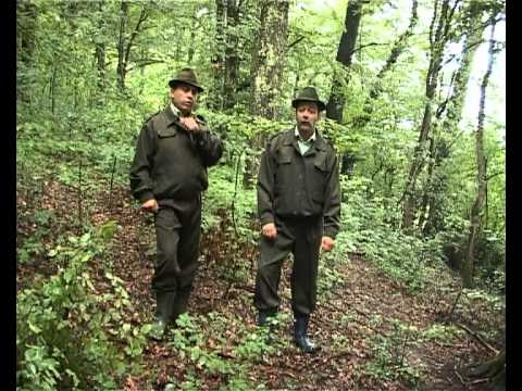 Vom avea mai mulți controlori în păduri - vomaveamaimulticontrolori-1435851317.jpg