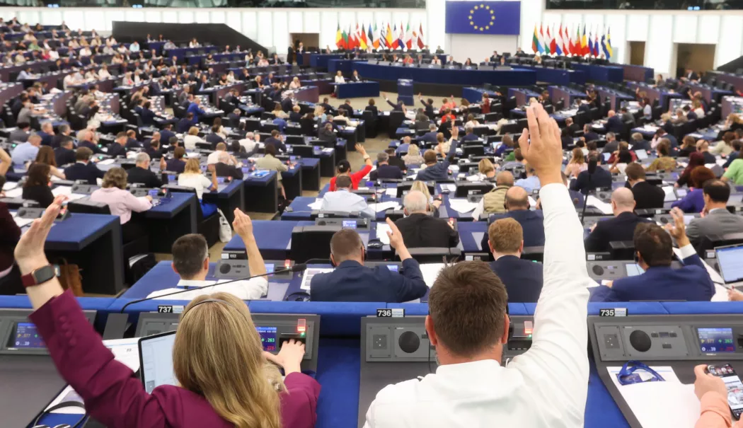 Cine sunt eurodeputații români care au votat 