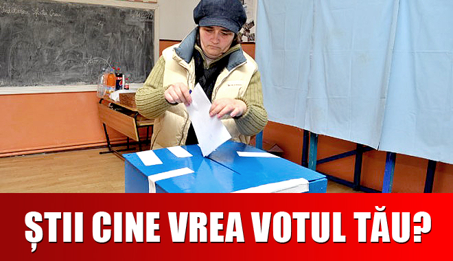 Pe cine pot vota constănțenii, în funcție de colegiile în care locuiesc - voturi-1352972004.jpg