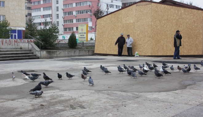 Cum va fi vremea astăzi, la Constanța - vreme-1361952431.jpg