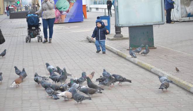 ANM. Cum va fi vremea astăzi, la Constanța - vreme-1421655506.jpg