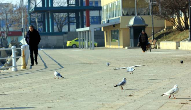 Cum va fi vremea, săptămâna aceasta, la Constanța - vreme-1457276069.jpg
