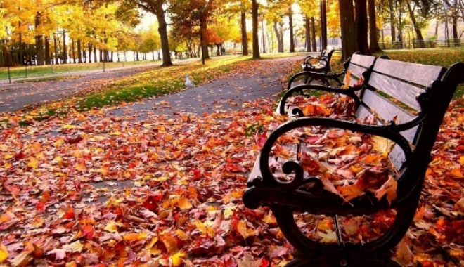 Vreme parțial însorită și maxime de 11 grade Celsius, astăzi, la Constanța - vreme-1511514070.jpg