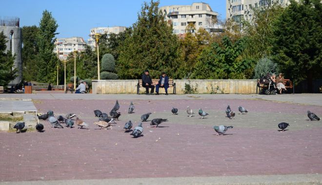 Vreme deosebit de caldă, săptămâna aceasta,  la Constanța - vreme-1540737339.jpg