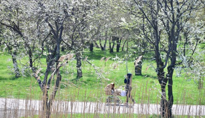 Vreme instabilă și ceva mai rece, la Constanța - vreme-1553552780.jpg