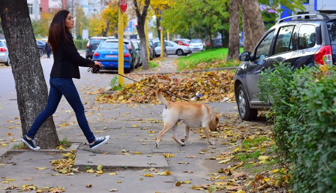Vreme călduţă, cu cer acoperit, la Constanţa - vreme-1605554339.jpg
