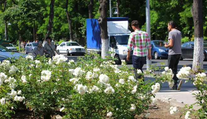 Soare şi temperaturi ridicate, la Constanţa - vreme-1621272622.jpg