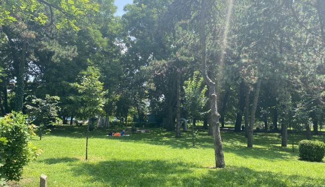 Vreme călduroasă şi însorită, săptămâna aceasta - vreme-1626023895.jpg