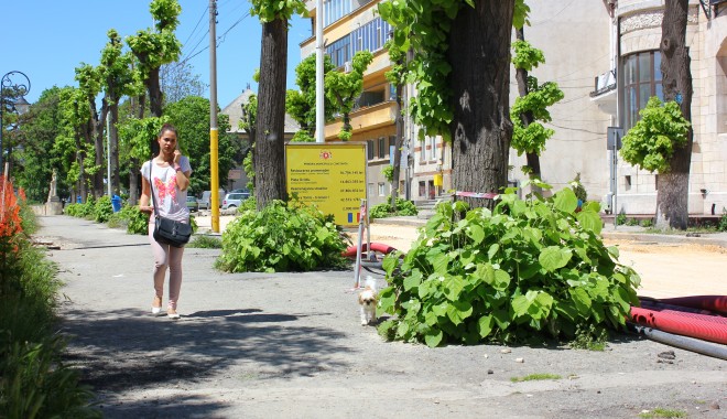 Cât de cald va fi astăzi la Constanța - vremea-1408347240.jpg
