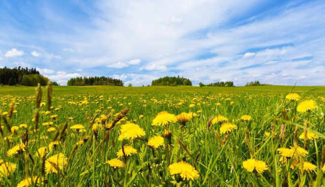 Vremea se încălzește ușor. Temperatura maximă va fi 24 de grade Celsius - vremea-1653329577.jpg