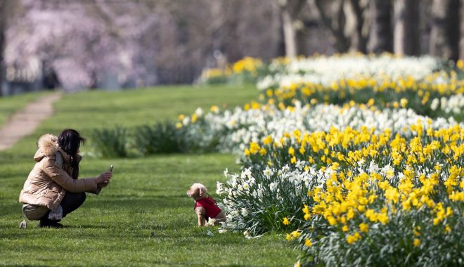 METEO - Vremea va deveni deosebit de caldă pentru această perioadă - vremea-1678130566.jpg
