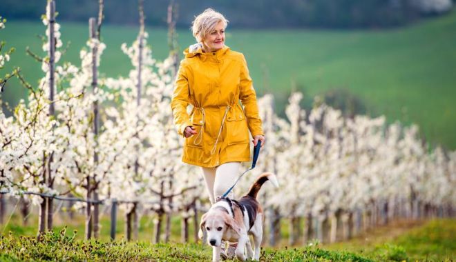 Vreme frumoasă, normală din punct de vedere termic acestei perioade - vremea-1678627697.jpg