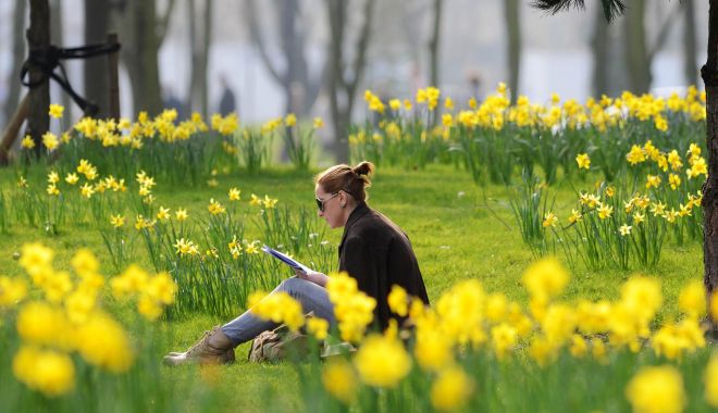 METEO - Temperaturile maxime se vor încadra între 13 și 18 grade Celsius - vremea-1679337493.jpg