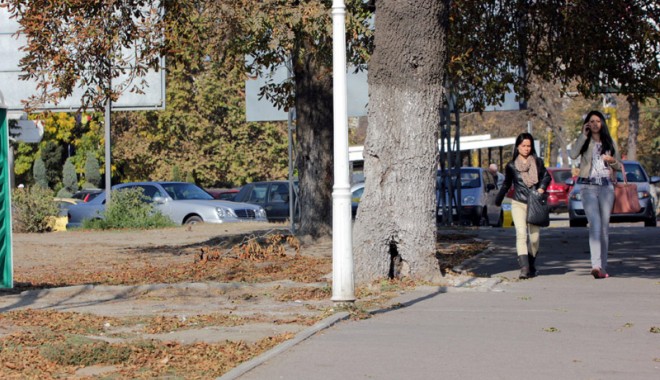 Vreme însorită și maxime de 17 grade Celsius, astăzi, la Constanța - vremea1-1382458458.jpg