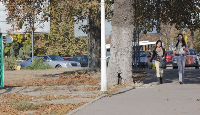 Cum va fi vremea săptămâna aceasta,  la Constanța - vremea1-1383494498.jpg