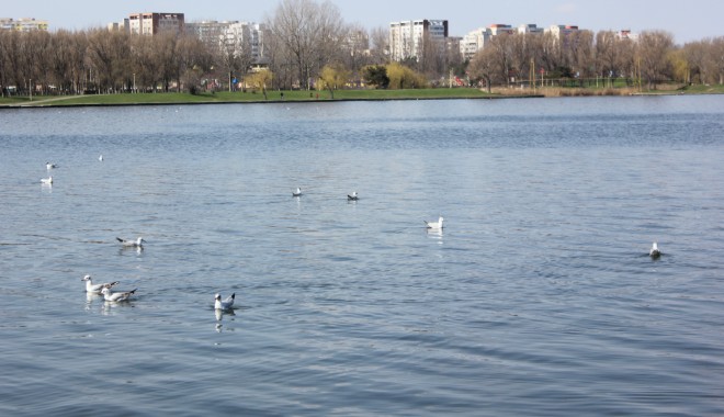 Cum va fi vremea săptămâna viitoare, la Constanța - vremea2-1366539412.jpg