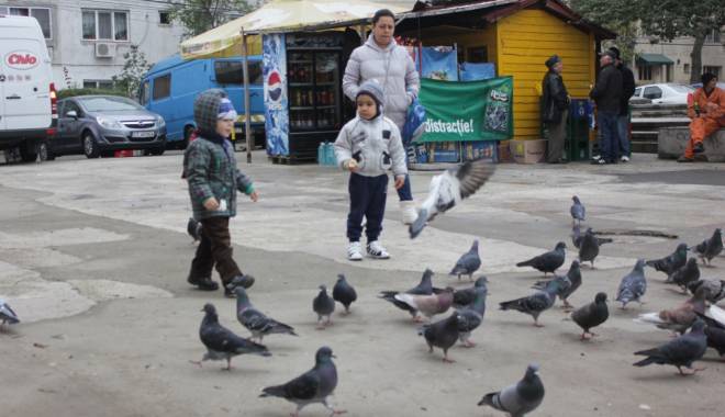 ANM. Vreme însorită și caldă, astăzi, la Constanța - vremeacopiiporumbei151354868894-1418645067.jpg