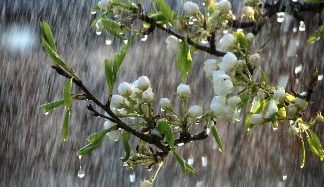 Meteorologii anunță că vremea se răcește. De când intră în vigoare