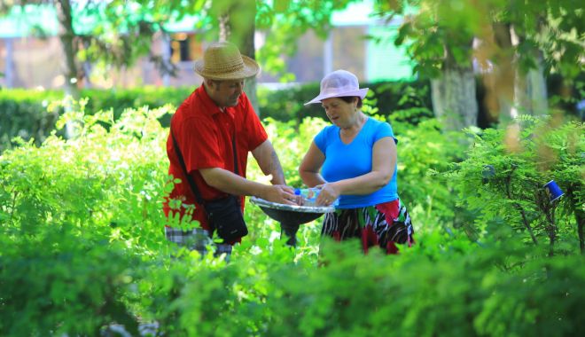 Vreme deosebit de călduroasă, în weekend, la Constanța - vremedeosebitdecalduroasa-1566588091.jpg