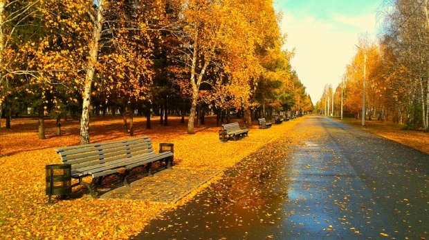 ANM. Cum va fi vremea azi, la Constanța - vremetoamnacalda58055600-1442740412.jpg
